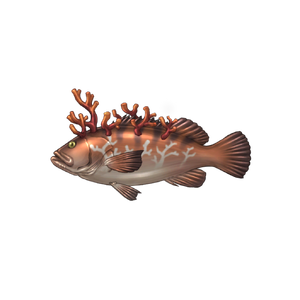 Coral Grouper image.png