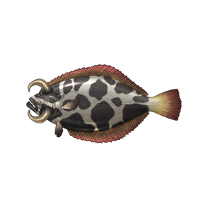 Cow Flounder image.png