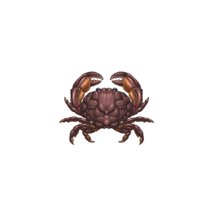 Spotted Ohagi Crab image.png