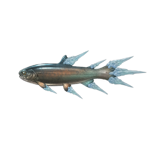 Icicle Trout image.png